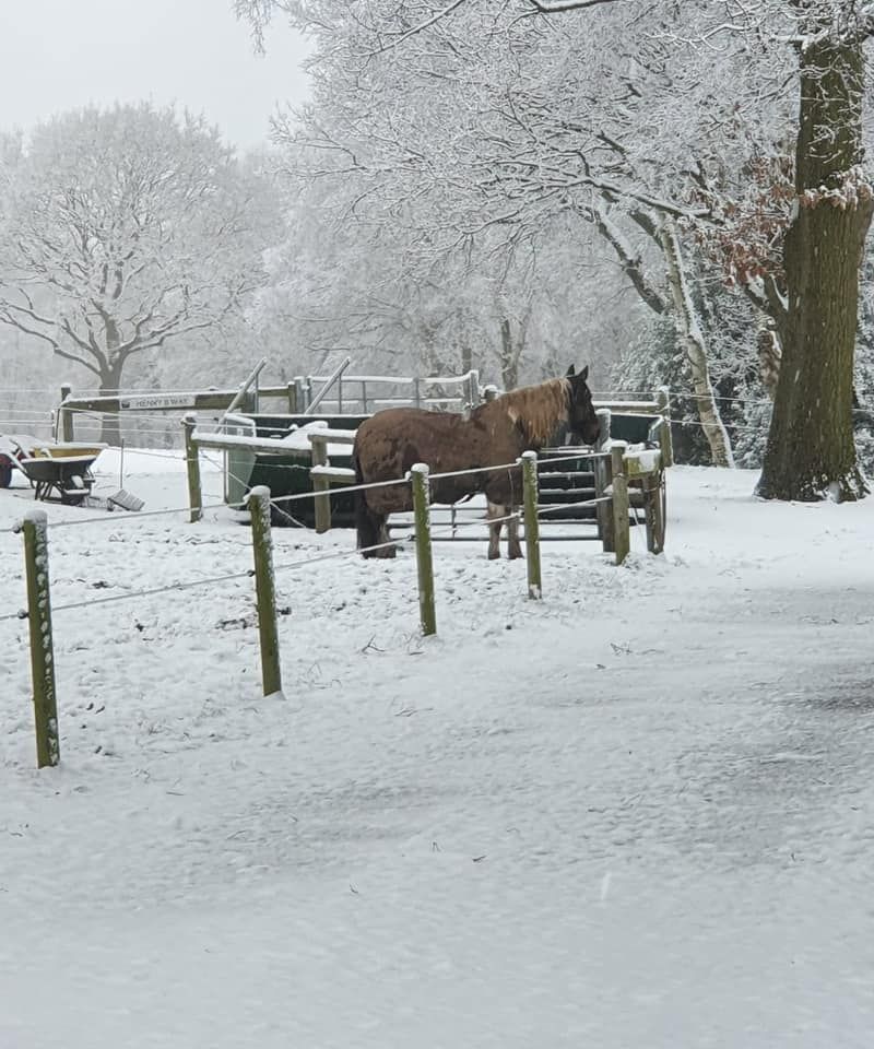 Gallery Court Bank Farm